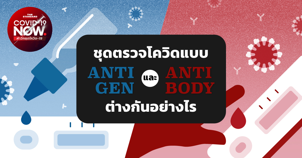ชุดตรวจโตวิด Antigen vs Antibody ต่างกันอย่างไร